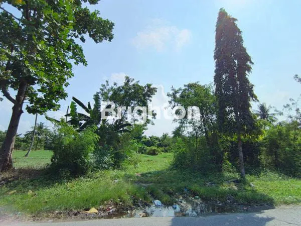 image DIJUAL 2 BUAH TANAH KAWASAN INDUSTRU SAENTIS (7)