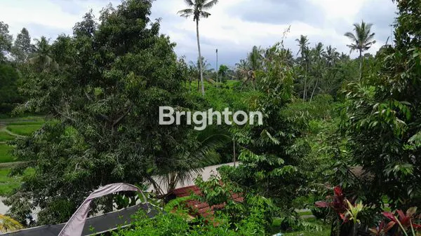 image TANAH LUAS 2.700M² BONUS GLAMPING, SIAP USAHA DI TABANAN (1)