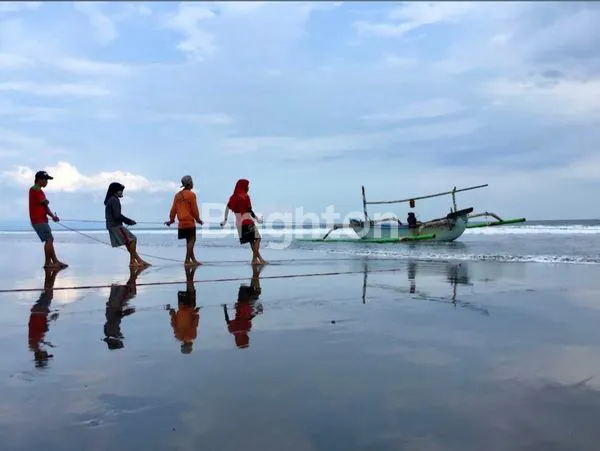 image DIJUAL TAMBAK UDANG 18 HA DI JEMBRANA – HARGA MURAH, PRODUKTIF, DEKAT PANTAI (5)