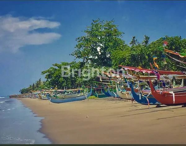 image DIJUAL TAMBAK UDANG 18 HA DI JEMBRANA – HARGA MURAH, PRODUKTIF, DEKAT PANTAI (6)