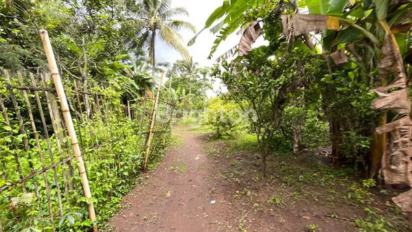 TANAH PINGGIR JALAN DI WAGIR