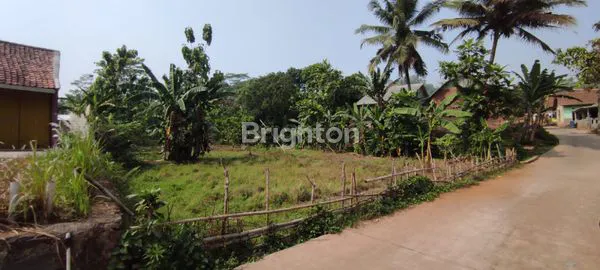 image LAHAN PARUNG PANJANG (5)