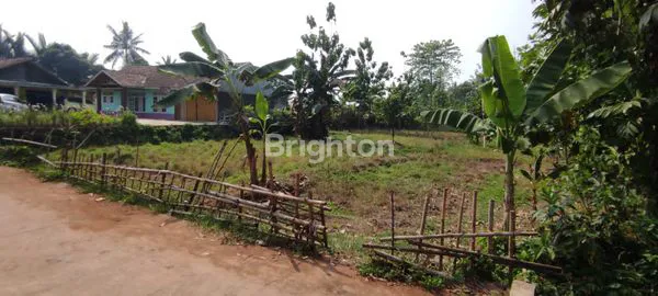 image LAHAN PARUNG PANJANG (8)