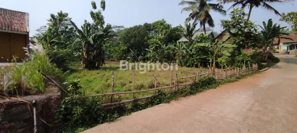 image LAHAN PARUNG PANJANG (7)