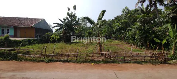 image LAHAN PARUNG PANJANG (4)