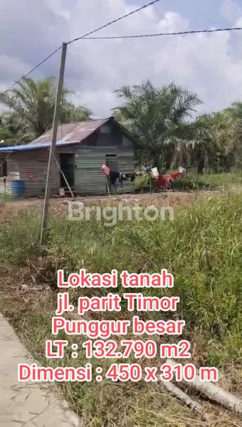 image TANAH KOMERSIAL LUAS UNTUK PERUMAHAN SUBSIDI PUNGGUR BESAR SUNGAI KAKAP KUBU RAYA (1)