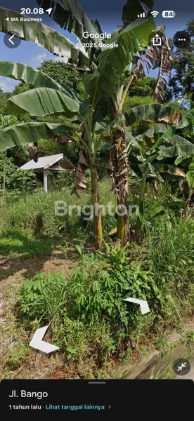 image TANAH STRATEGIS 1179M² DI RAWA KALONG, GUNUNG SINDUR (2)