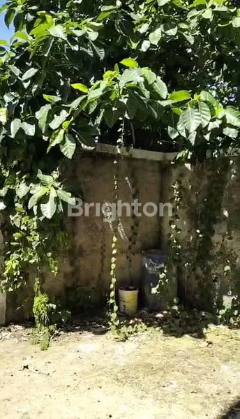 image RUKO 2 LANTAI DI JL. FAISAL, SHM, SIAP PAKAI (6)