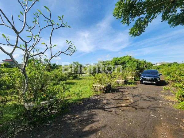 image TANAH UNGASAN BALI (1)