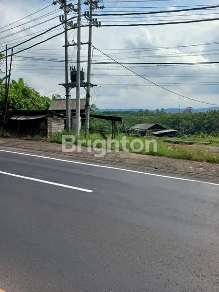 image LAHAN BATANG JATENG COCOK UNTUK DIBANGUN PABRIK STRATEGIS (4)