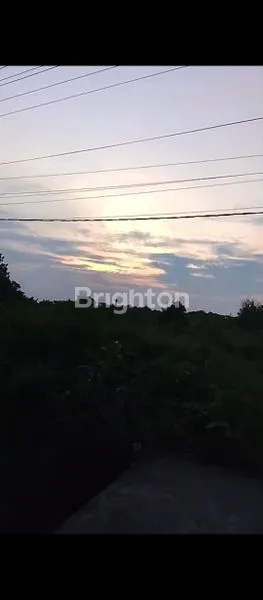 image TANAH MURAH NOL JALAN RAYA (3)