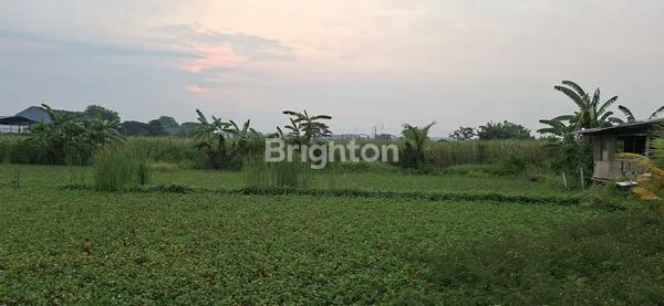 image TANAH INDUSTRI DI SALEMBARAN KOSAMBI TANGERANG (8)