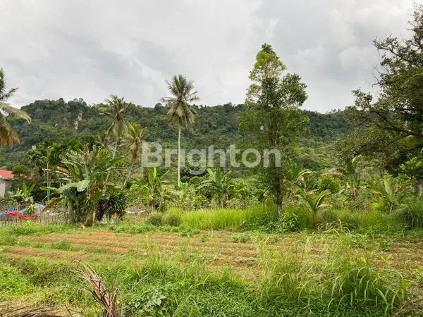 image TANAH PINGGIR JALAN UTAMA VIEW BUKIT DI KURANJI PADANG SUMATRA BARAT (4)