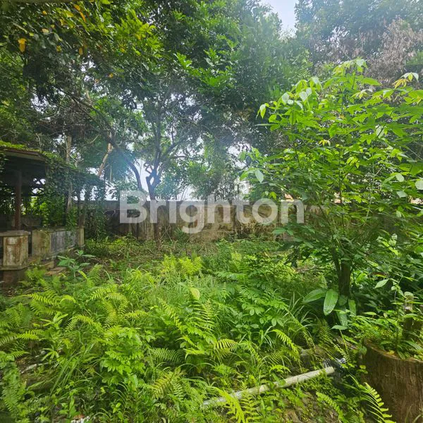 image RUMAH STRATEGIS DI AGUNG TUNGGAL, LT 1000M² (4)