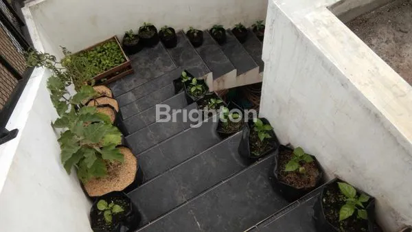 image RUMAH BARU SIAP HUNI + KEBUN BUAH VIEW PEGUNUNGAN DI KARANGPLOSO MALANG (8)