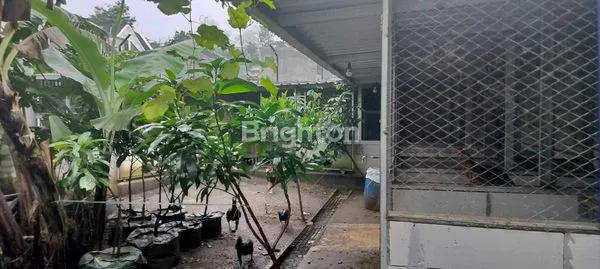 image RUMAH BARU SIAP HUNI + KEBUN BUAH VIEW PEGUNUNGAN DI KARANGPLOSO MALANG (5)