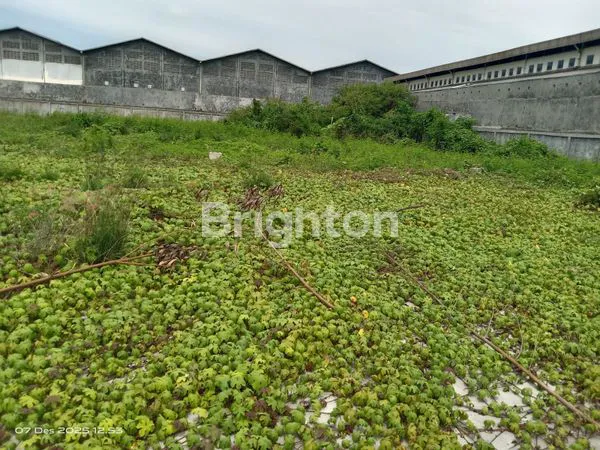 image GUDANG DI SALEMBARAN KOSAMBI TANGERANG  (6)