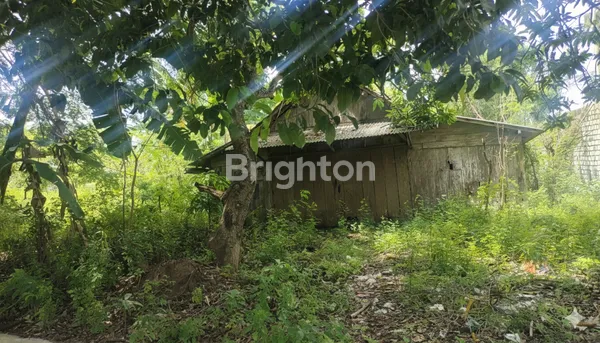 JUAL LAHAN STRATEGIS DI KOTA LAMONGAN DEKAT ALFAMART