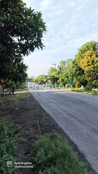 image TANAH PEKARANGAN SIAP BANGUN DI KERTOREJO JOMBANG (2)