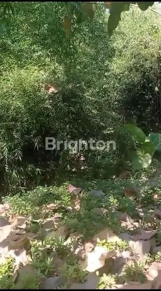 image RUMAH TOKO LOKASI STRATEGIS DI NGORO JOMBANG (8)