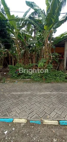 image TANAH SIAP BANGUN SHM DRIYOREJO GRESIK (1)
