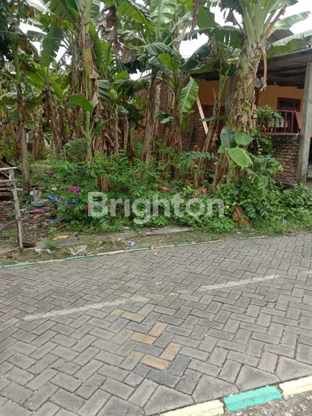 image TANAH SIAP BANGUN SHM DRIYOREJO GRESIK (3)