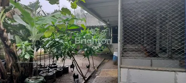 image RUMAH + KEBUN BUAH, VIEW INDAH DI KARANG PLOSO (6)