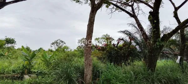 image TANAH KOSONG COCOK UNTUK PERUMAHAN TENGAH KOTA PEKANBARU (4)