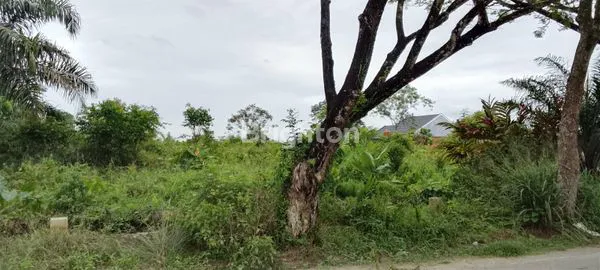image TANAH KOSONG COCOK UNTUK PERUMAHAN TENGAH KOTA PEKANBARU (3)
