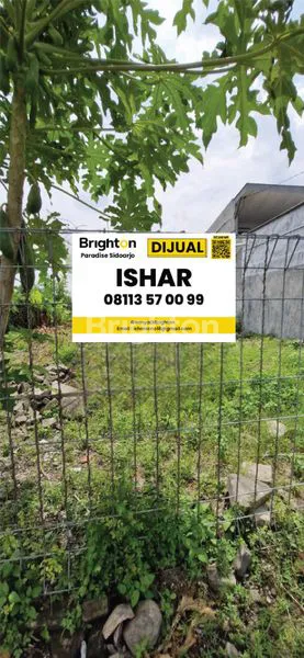 image JUAL LAHAN DI MASANGAN WETAN (1)