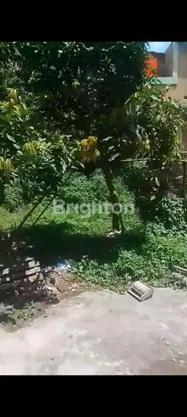 image LAHAN CISAUK TANGERANG SELATAN  (3)