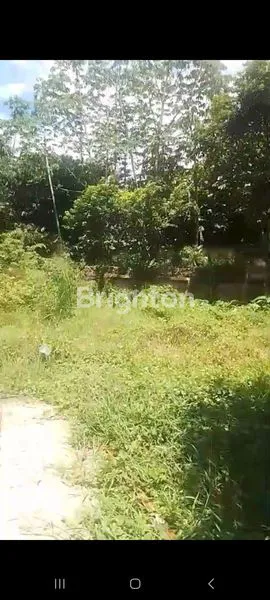 image LAHAN CISAUK TANGERANG SELATAN  (4)