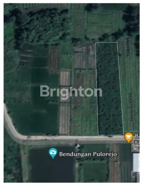 image TANAH INDUSTRI MOJOKERTO JAWA TIMUR SIAP BANGUN (4)