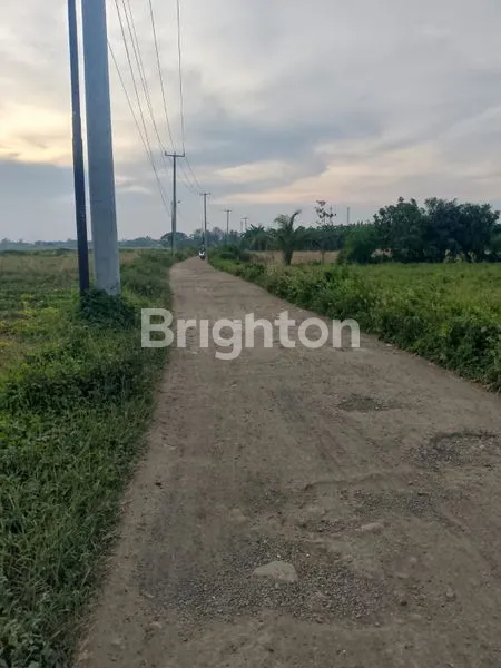 image LAHAN KOSONG BEKASI UTARA  (3)