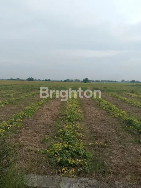 image LAHAN KOSONG BEKASI UTARA  (2)