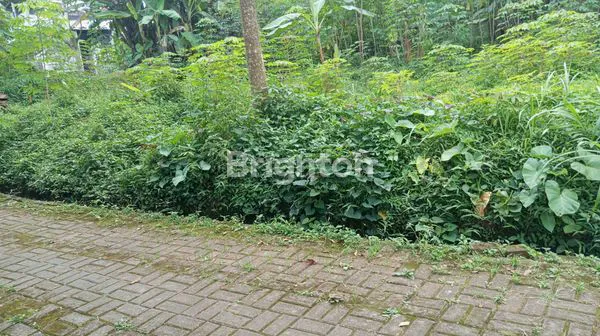 JUAL MURAH DAN CEPAT TANAH DI BATAS KOTA SALATIGA - SUMOGAWE