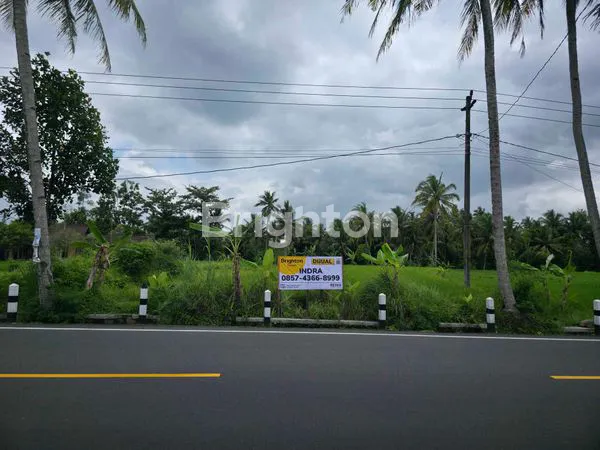 image LAHAN LUAS DI JALAN RAYA BOROBUDUR, MAGELANG (1)