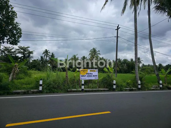 image LAHAN LUAS DI JALAN RAYA BOROBUDUR, MAGELANG (2)