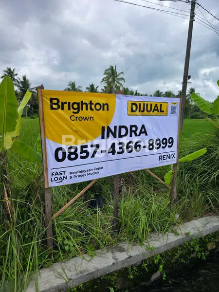 image LAHAN LUAS DI JALAN RAYA BOROBUDUR, MAGELANG (3)