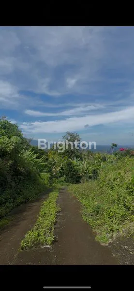 image TANAH  KEBUN, INVESTASI  PROPERTI DI LOMBOK TIMUR, LOKASI STRATEGIS (1)