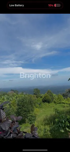 image TANAH  KEBUN, INVESTASI  PROPERTI DI LOMBOK TIMUR, LOKASI STRATEGIS (2)