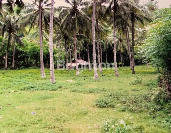image TANAH SIAP BANGUN DI LOMBOK (2)