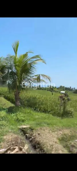 image TANAH VIEW GUNUNG DAN SAWAH 37 ARE DI ANTOSARI SELEMADEG TABANAN (5)