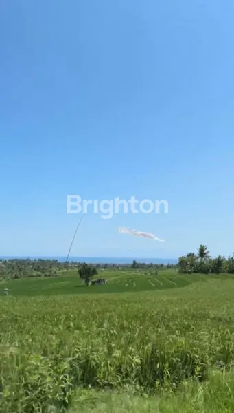 image TANAH VIEW GUNUNG DAN SAWAH 37 ARE DI ANTOSARI SELEMADEG TABANAN (3)