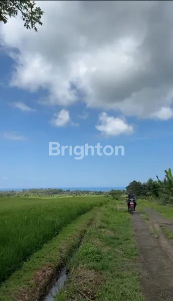 image TANAH VIEW GUNUNG DAN SAWAH 37 ARE DI ANTOSARI SELEMADEG TABANAN (6)