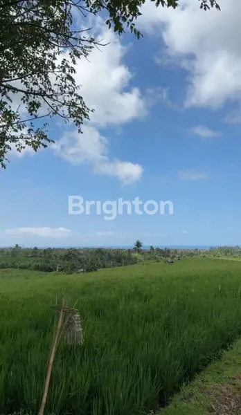 image TANAH VIEW GUNUNG DAN SAWAH 37 ARE DI ANTOSARI SELEMADEG TABANAN (4)