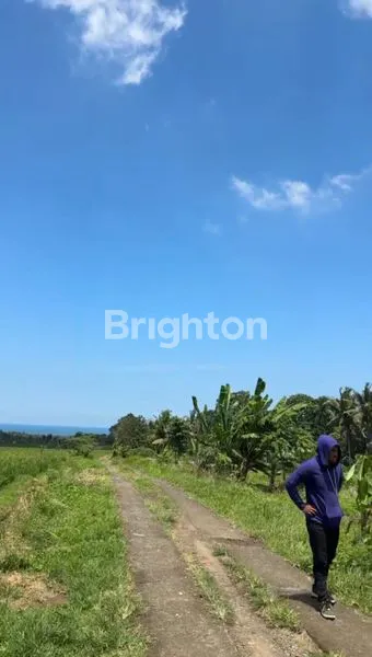 image TANAH VIEW GUNUNG DAN SAWAH 37 ARE DI ANTOSARI SELEMADEG TABANAN (8)