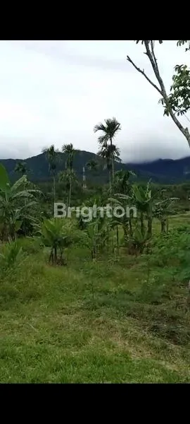image DIJUAL TANAH KOSONG LOKASI STRATEGIS SELUAS KURANG LEBIH 1 HEKTAR DI DAERAH BANDAR BARU DELI SERDANG (2)