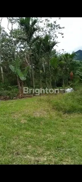 image DIJUAL TANAH KOSONG LOKASI STRATEGIS SELUAS KURANG LEBIH 1 HEKTAR DI DAERAH BANDAR BARU DELI SERDANG (3)