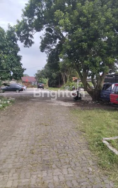 image TANAH DIJUAL STRATEGIS DI JL. TOLE ISKANDAR DEPOK –  COCOK UNTUK INVESTASI & BISNIS (4)